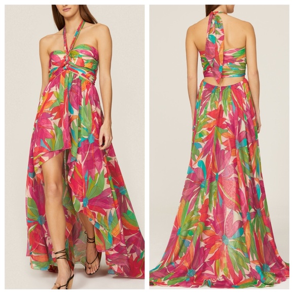 Ronny Kobo Collection Dresses & Skirts - Ronny Kobo Natasha Floral Tropical Multicolor Cut Out Maxi Dress High Low - XS